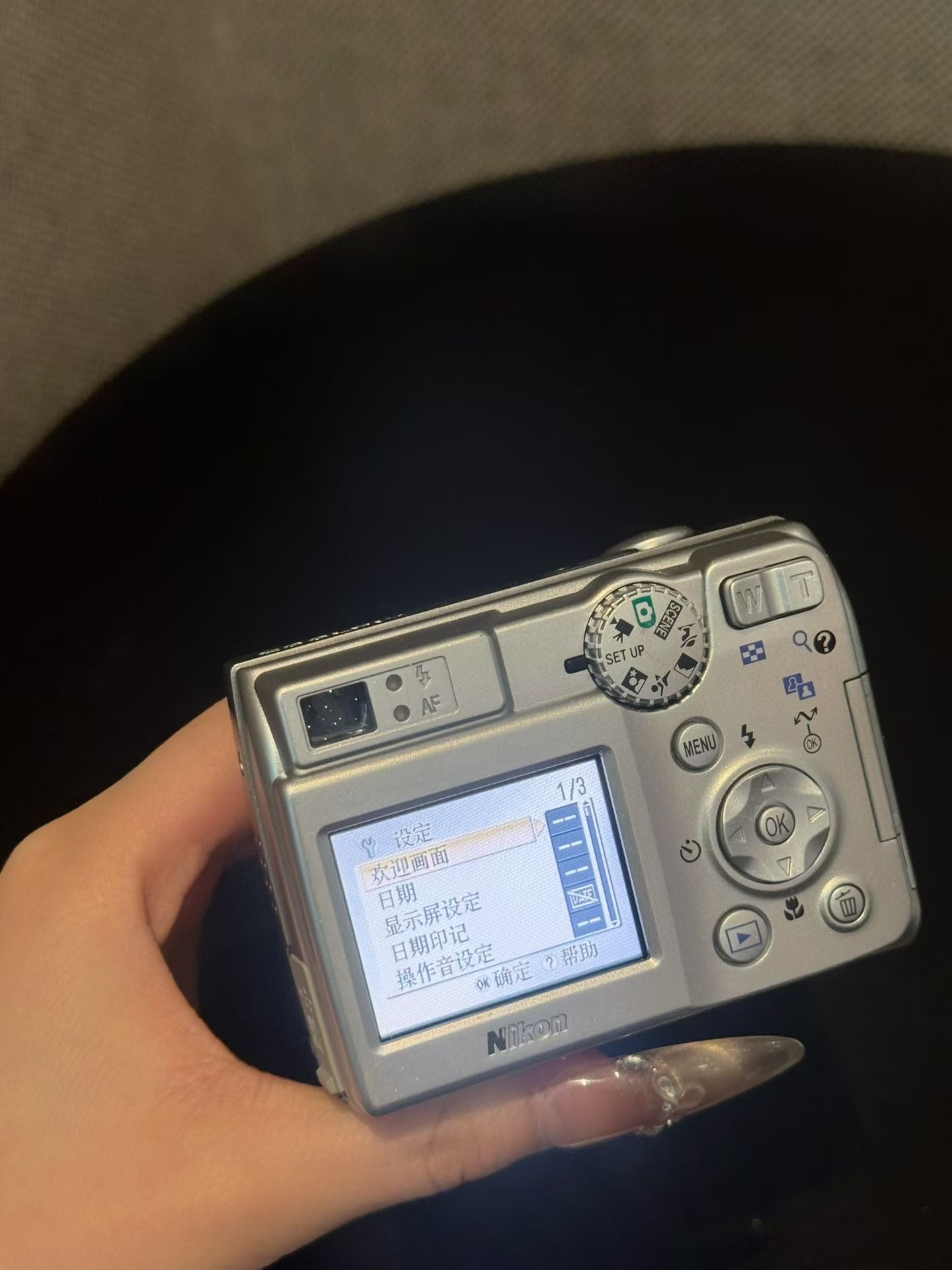 Nikon ccd